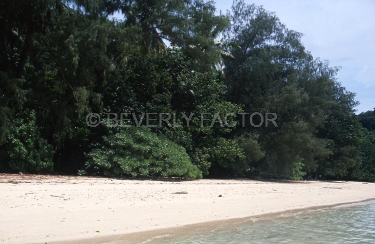 Island;Palau;green;blue water;sky;trees